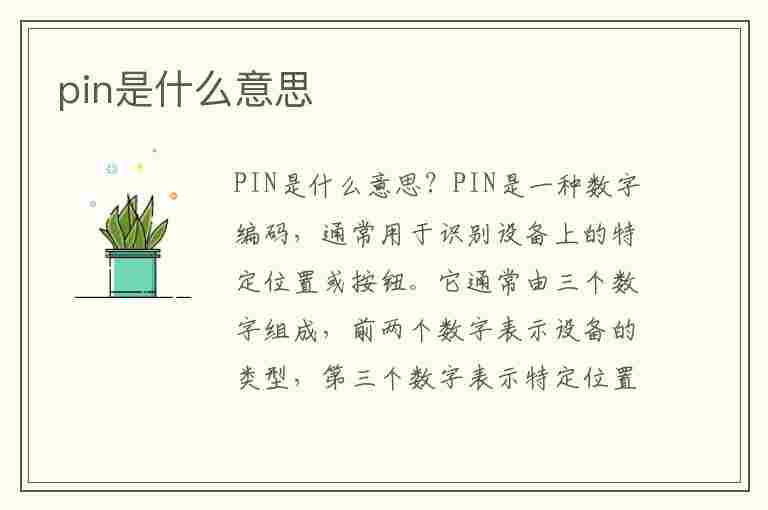 pin是什么意思(pin是什么意思电脑)